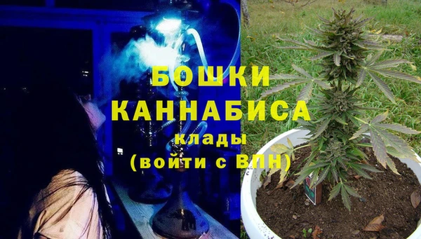 гидра Алзамай